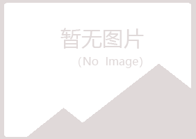 晋源区夏岚咨询有限公司